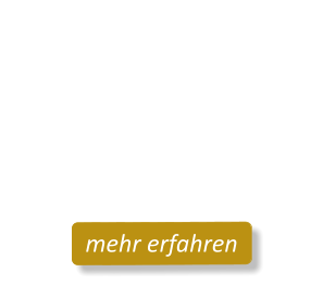 Meta-Transform©Energetic-Healings 6 Wochen Kompakt-Ausbildungmehr erfahren